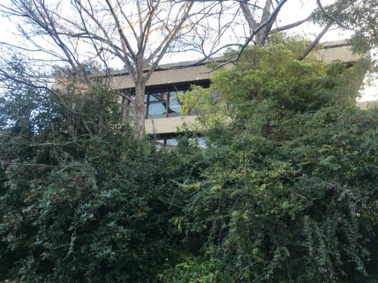 The Gulbenkian Institute, Lisbon